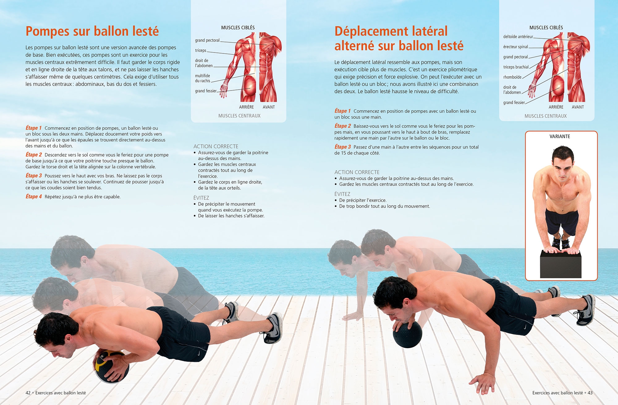 Exercices en action abdos – Image 2