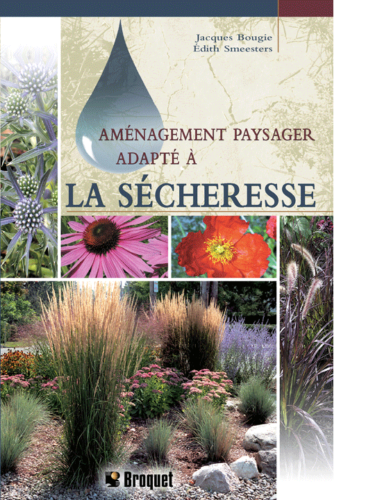 Aménagement paysager adapté à la sécheresse