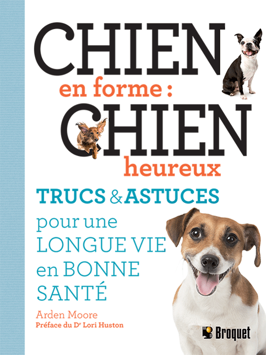 Chien en forme : chien heureux