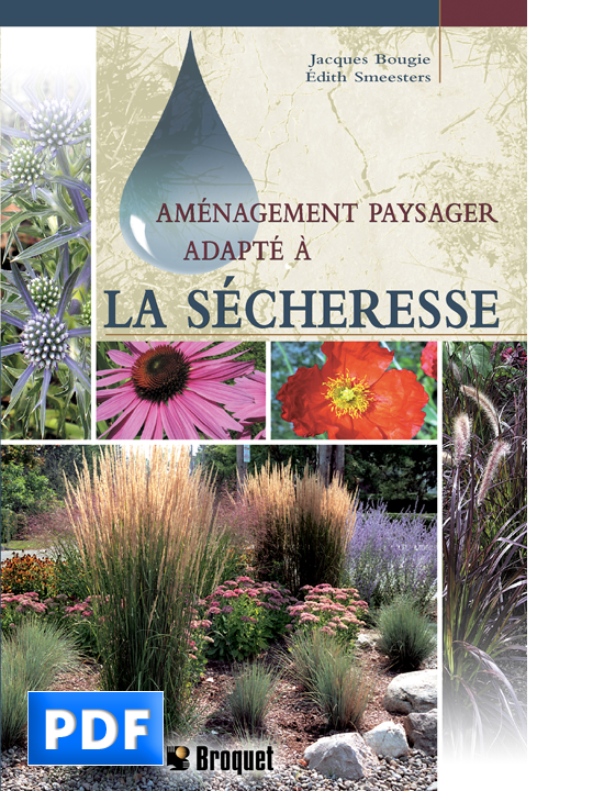 Aménagement paysager adapté à la sécheresse