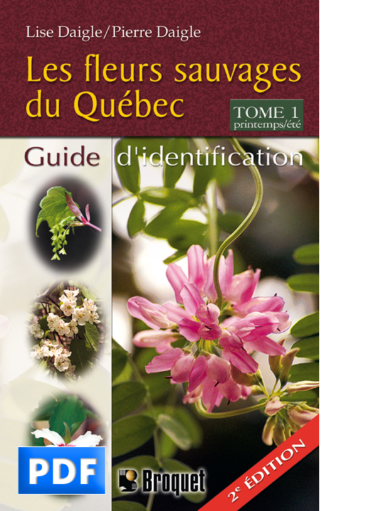 fleurs sauvages