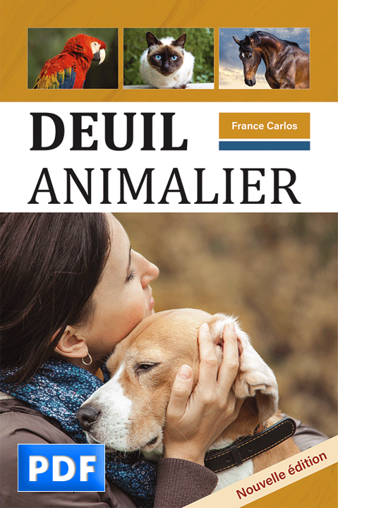 Deuil animalier – Image 3