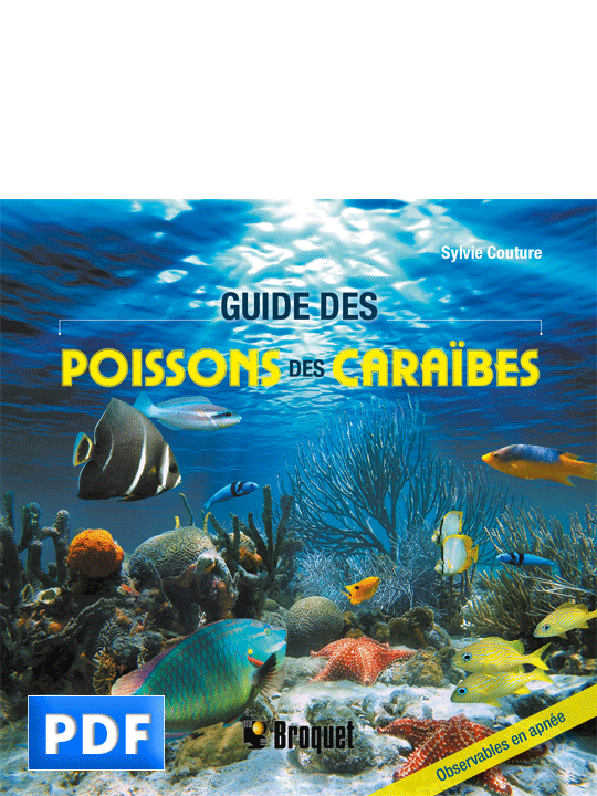 Guide des poissons des Caraïbes
