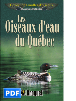Les oiseaux d’eau du Québec