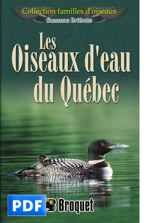 Les oiseaux d’eau du Québec