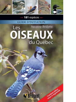 Les oiseaux du Québec – Guide d’initiation