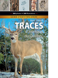 Traces d&rsquo;animaux du Québec – Guide d&rsquo;identification