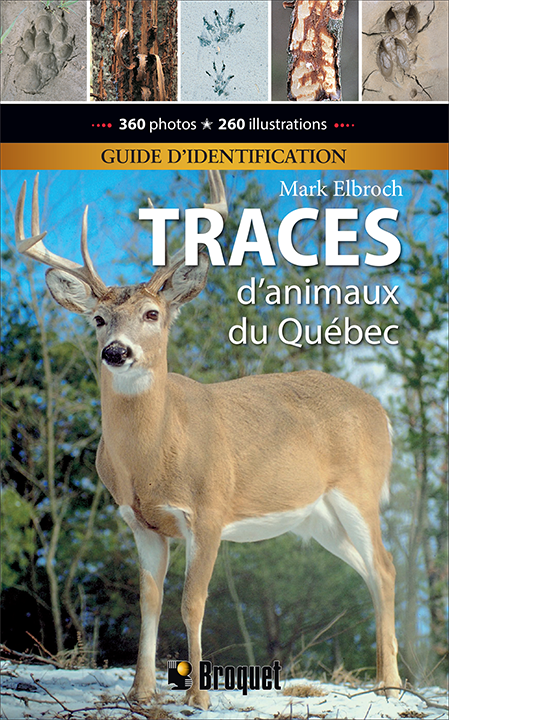 Traces d’animaux du Québec – Guide d’identification